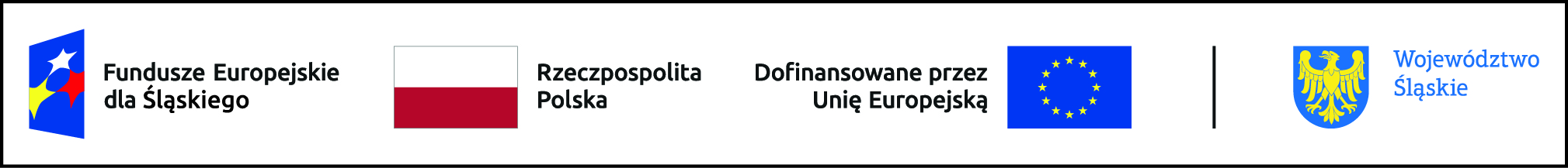 FE SL Kolor Poziom